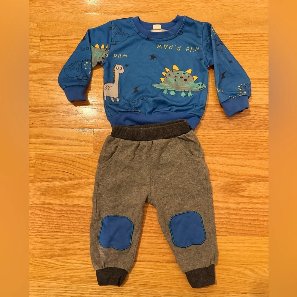 Blue and Gray Dinosaur Matching Set